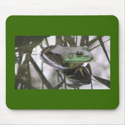 Frog Reflection mousepad