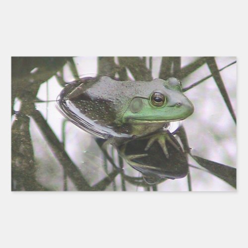 Frog Reflection Sticker