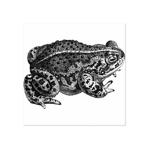 Frog  Rubber stamp