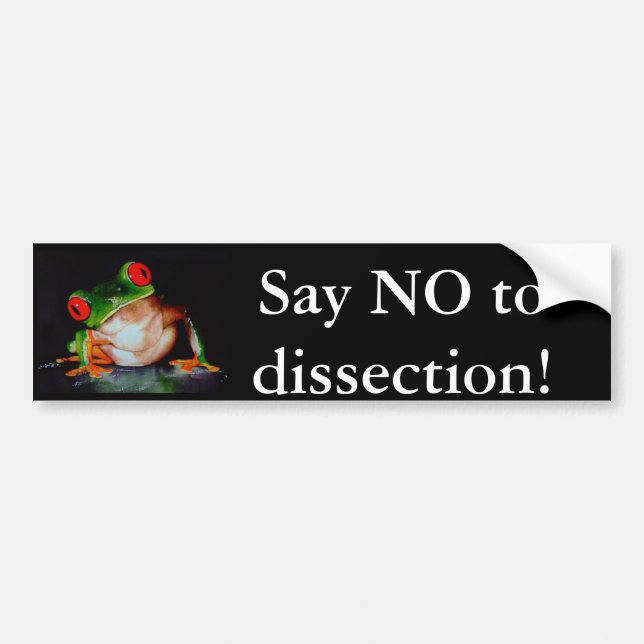 Frog, Say NO to dissection! Bumper Sticker (Front)