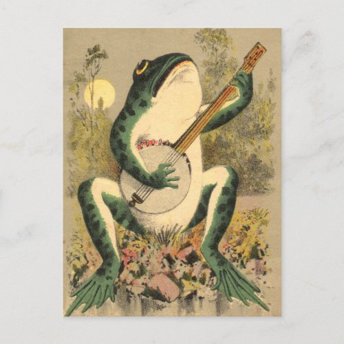 Frog Serenade Retro Banjo Postcard