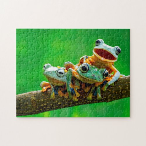 Frog Siblings Jigsaw Puzzle