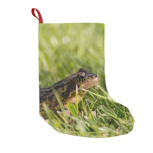 Frog Small Christmas Stocking