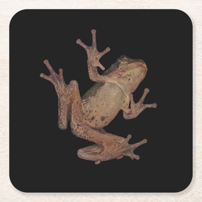 frog square paper coaster (Front)