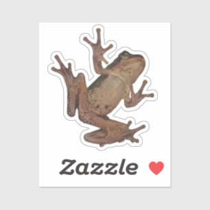 frog sticker