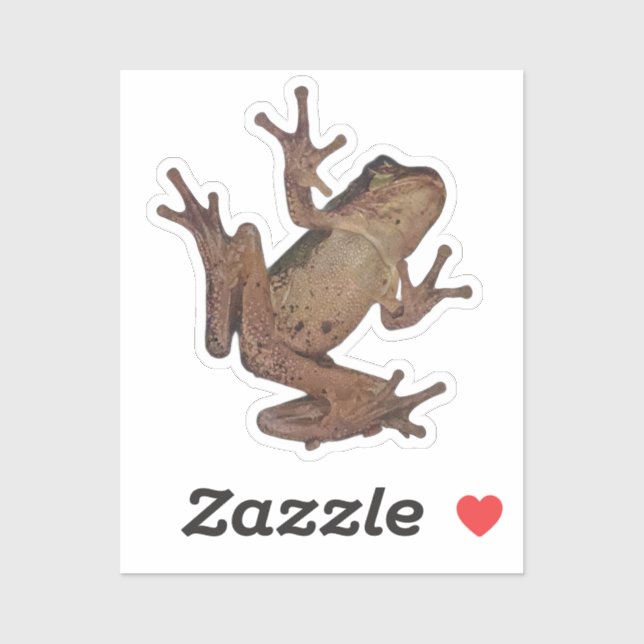 frog sticker (Sheet)