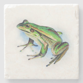 Frog Stone Coaster