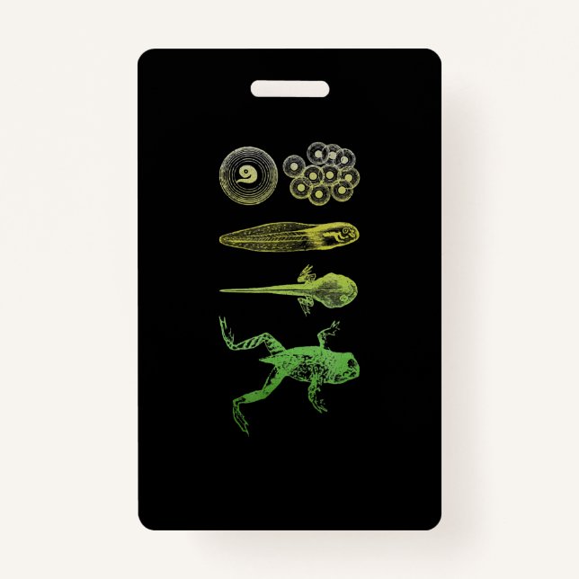 Frog Tadpole  Metamorphosis Life Cycle Biology Badge (Front)