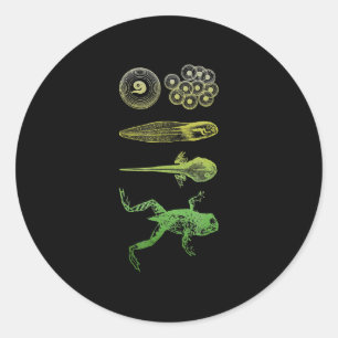 Frog Tadpole Metamorphosis Life Cycle Biology Classic Round Sticker