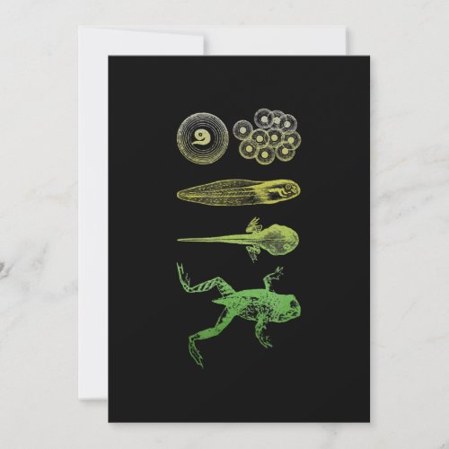 Frog Tadpole  Metamorphosis Life Cycle Biology Holiday Card