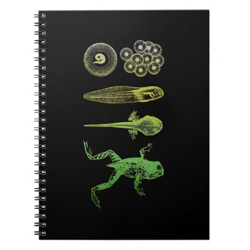 Frog Tadpole  Metamorphosis Life Cycle Biology Notebook
