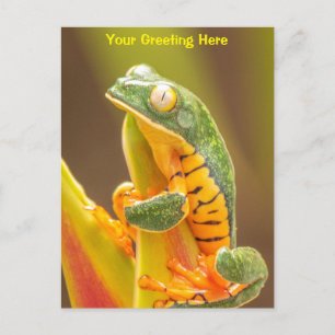 Frog Tiger Leg Monkey Tree Frog Personalized Postcard