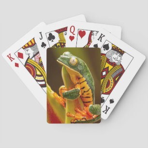 Frog Tiger Leg Monkey Tree Frog Poker Cards