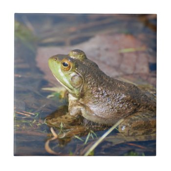 Frog Tile by WildlifeAnimals at Zazzle