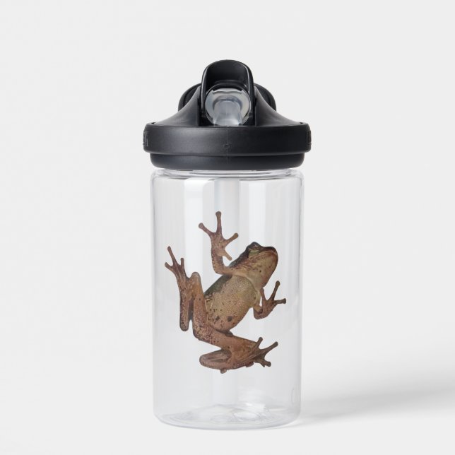 frog water bottle (Front)