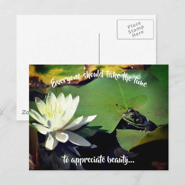 Frog Water Lily Beauty Inspirational Postcard (Front/Back)
