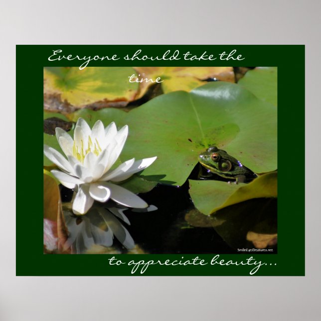 Frog Water Lily Inspirational Nature Poster Print (Front)