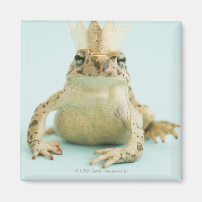Frog wearing crown magnet (Front)