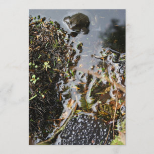 Frog with Frog Spawn Invitation