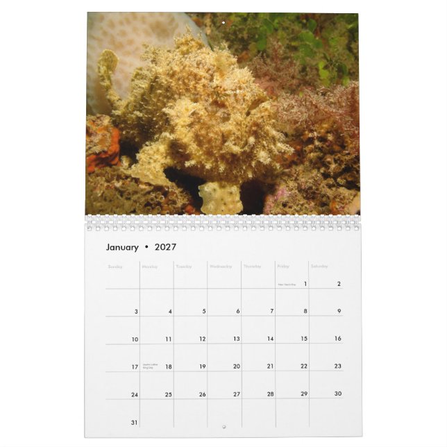 Frogfish 2012 Calendar (Jan 2027)