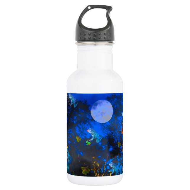 Froggie Night Stainless Steel Water Bottle (Front)