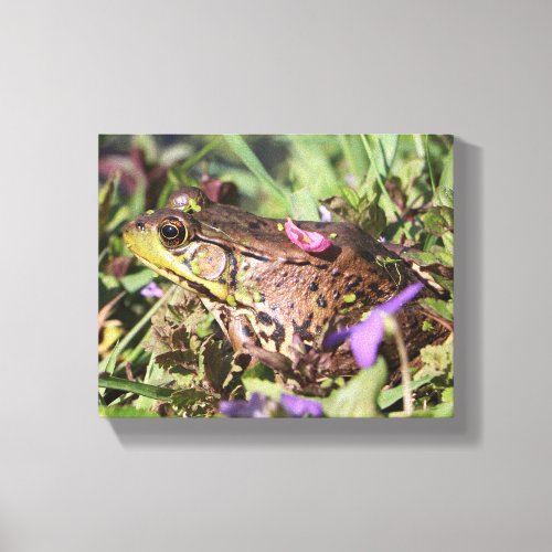 Froggy  canvas print
