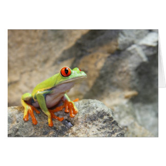 Froggy Cards