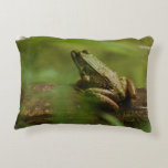 Froggy Decorative Pillow