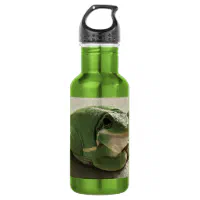 Josh's Frogs Lime Green Water Bottle (23 oz)