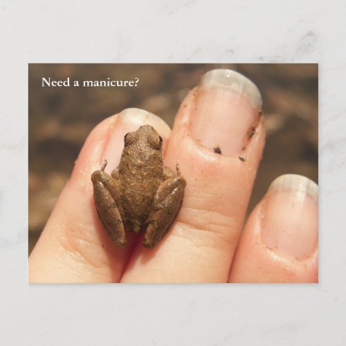 Froggy Hand Postcard