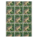 Froggy Tablecloth