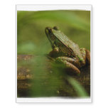 Froggy Temporary Tattoos