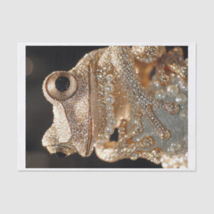 Frogs and Diamonds11 Tissue Paper