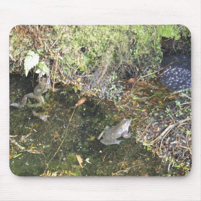 Frogs and Frog Spawn in a Pond Mouse Pad (Front)