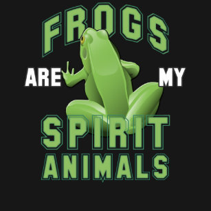 frog spirit animal gifts
