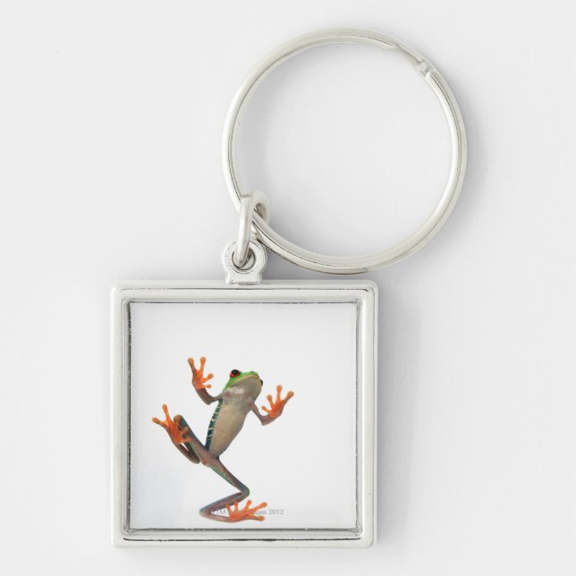 Frogs belly keychain (Front)