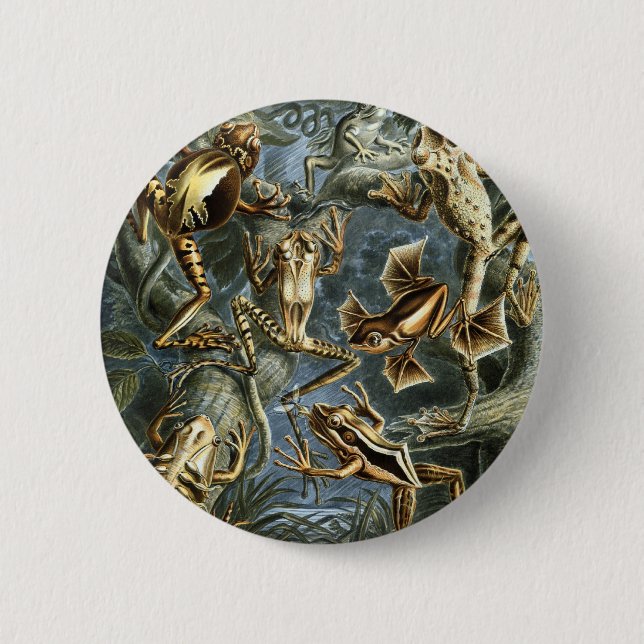 Frogs Button (Front)