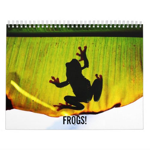 Frogs Calendar