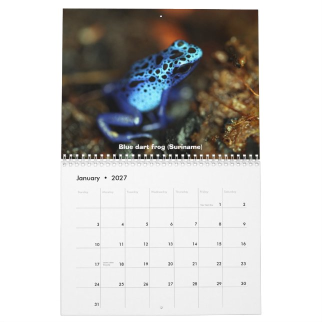 Frogs Calendar (Jan 2027)