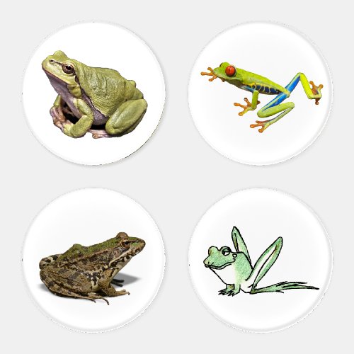 Frogs Coaster Set