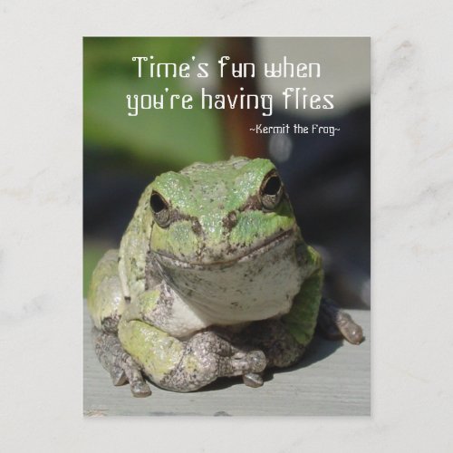 Frogs  Flies Postcard