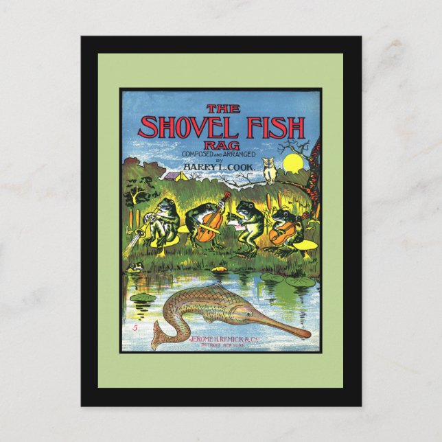 Frogs in Band Postcard (Front)