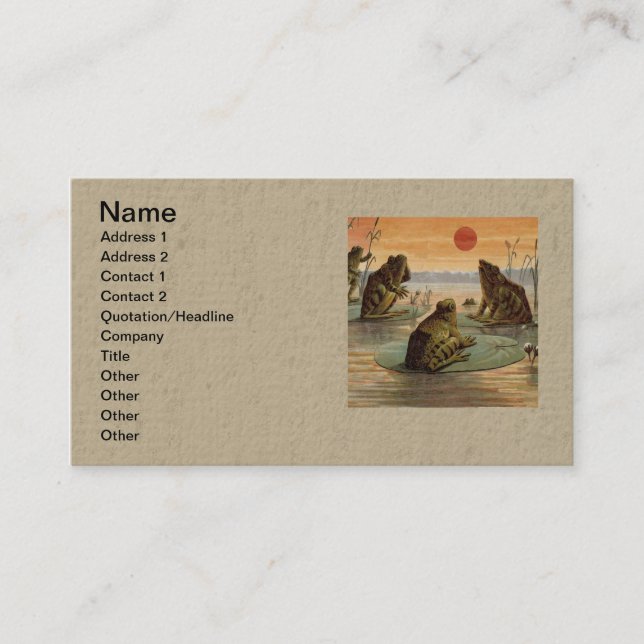 Frogs Lily Pads Moon Illustration Business Card (Front)