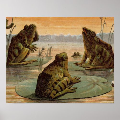 Frogs Lily Pads Moon Illustration Poster