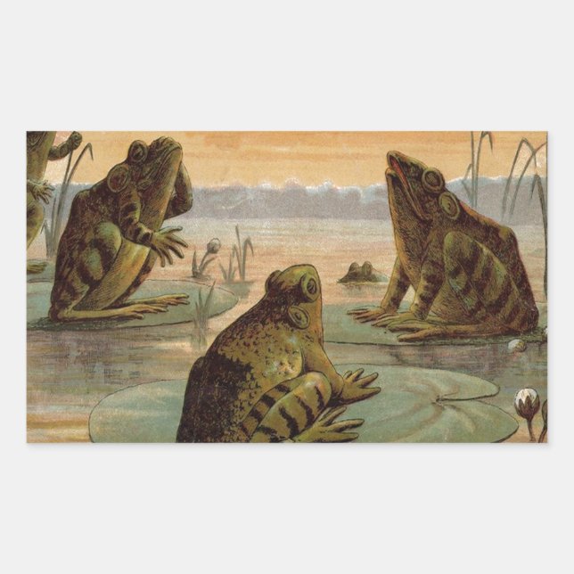 Frogs Lily Pads Moon Illustration Rectangular Sticker (Front)