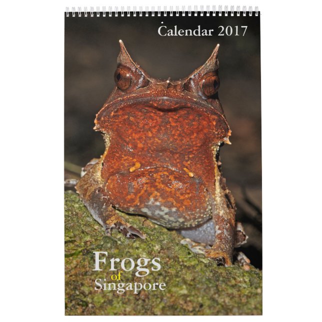 Frogs of Singapore Calendar 2017 (Cover)