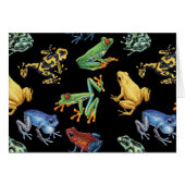 Frogs on black (Front Horizontal)
