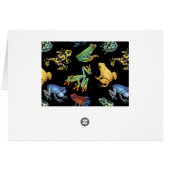 Frogs on black cards (Back Horizontal)