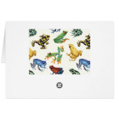 Frogs on natural white cards (Back Horizontal)