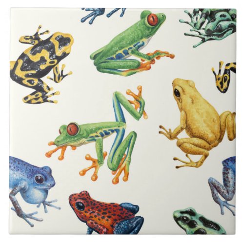 Frogs on natural white ceramic tile